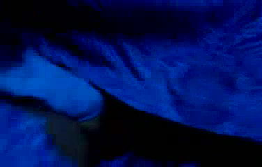 IndianSexVideoz_bhabhi_in_blue_nighty