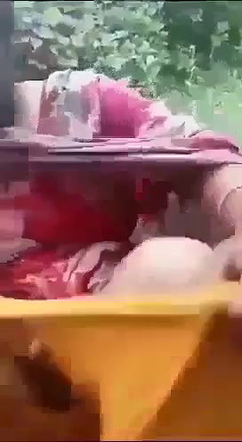 Village Bhabi Fucking In Outdoor Jungle