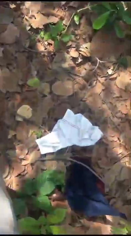 Cutie giving blowjob in jungle