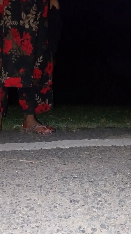 Pooja Bhabhi Was Called to the Roadside and Fucked  Faphouse