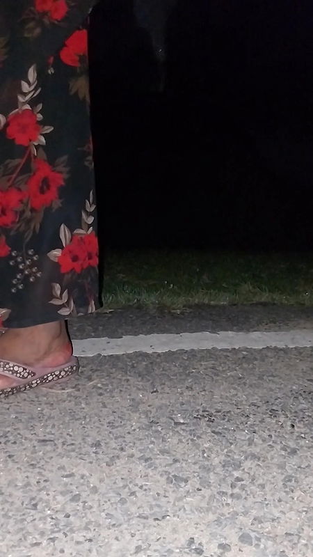 Pooja Bhabhi Was Called to the Roadside and Fucked  Faphouse