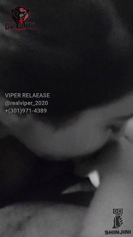 Summer Swallow – Shinjini