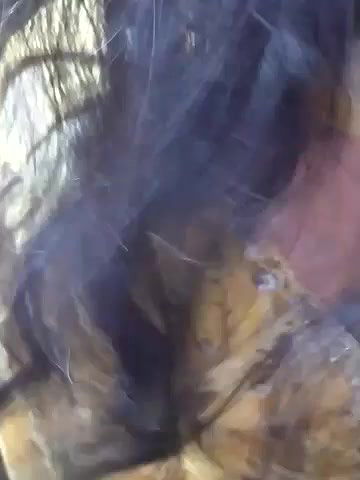 Stripchat-Public.Show-f-Payal-jaaan-2024.07.03.085025