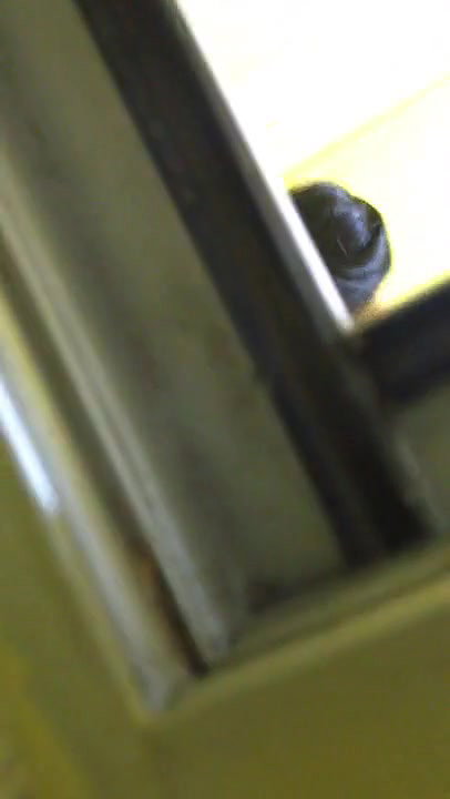 bangladeshi wife shower voyeur mobile cam video