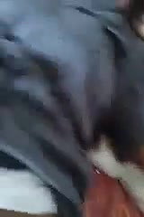 bangla slut laboni fucking with bf