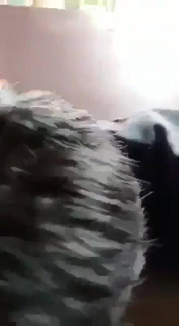 Shaved pussy girl having with uncle