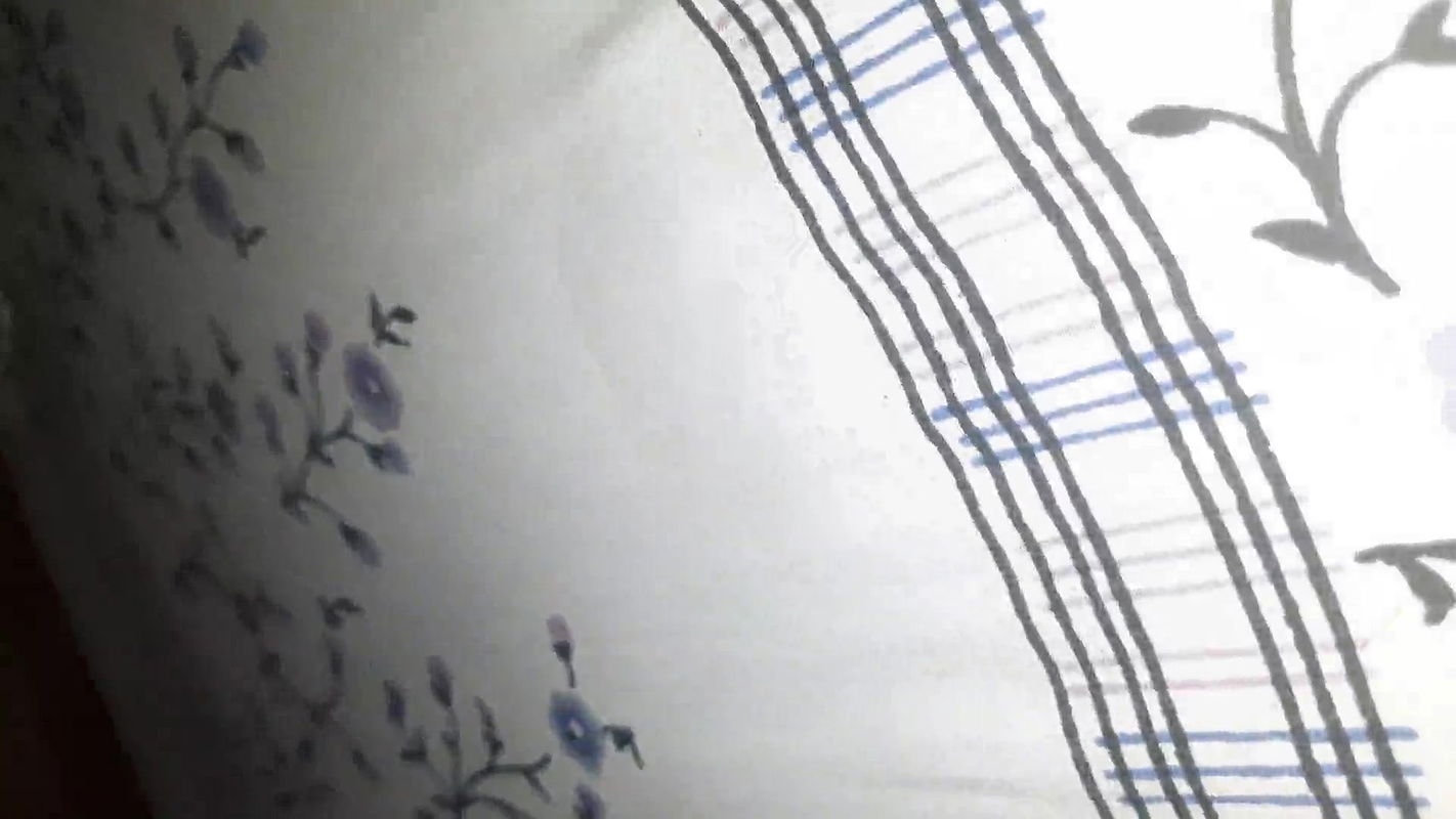 Chubby bhabhi fucked