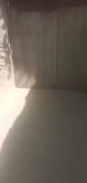 Pk village bhabi quick