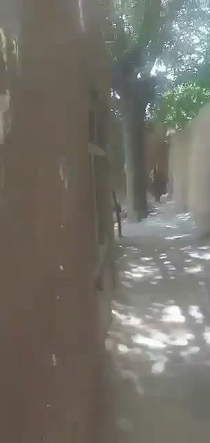 Pk village bhabi quick