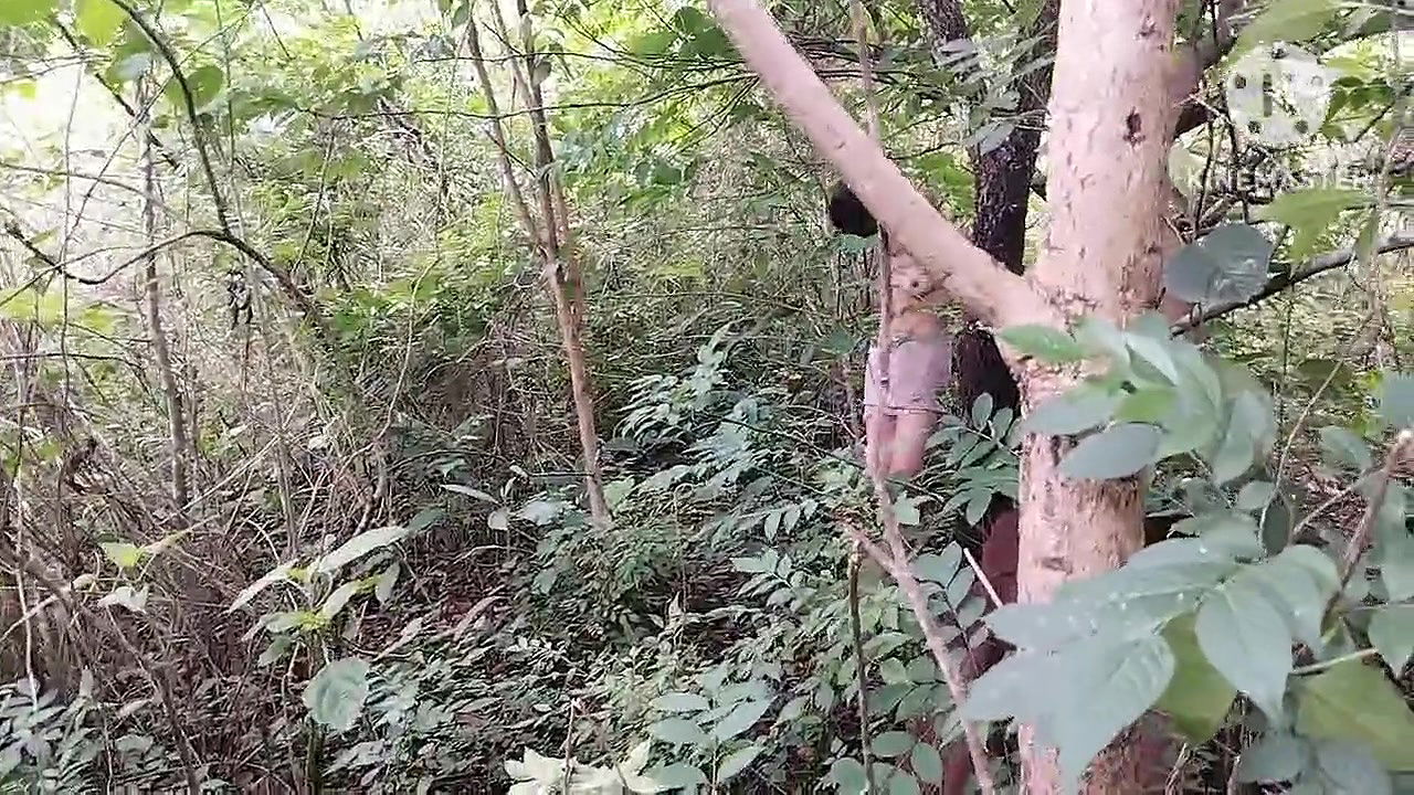 An indian desy girl sucking very hard her ex boyfriend big cock at outdoor, an andhrapradesh telugu girl sucking deepthroat cock