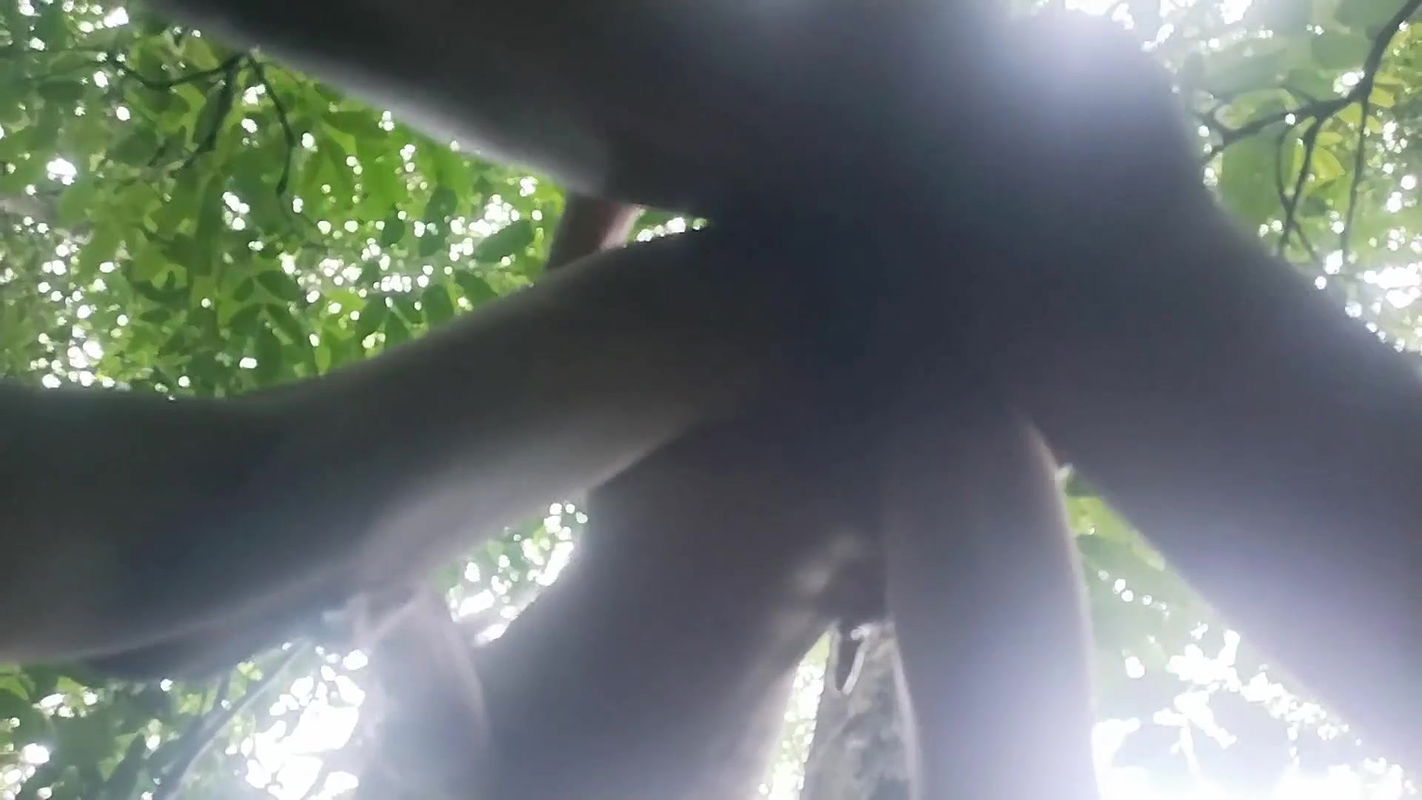 Desi girl and her step brother was fucking in jungle place, when they want forest area because they looks that area locations