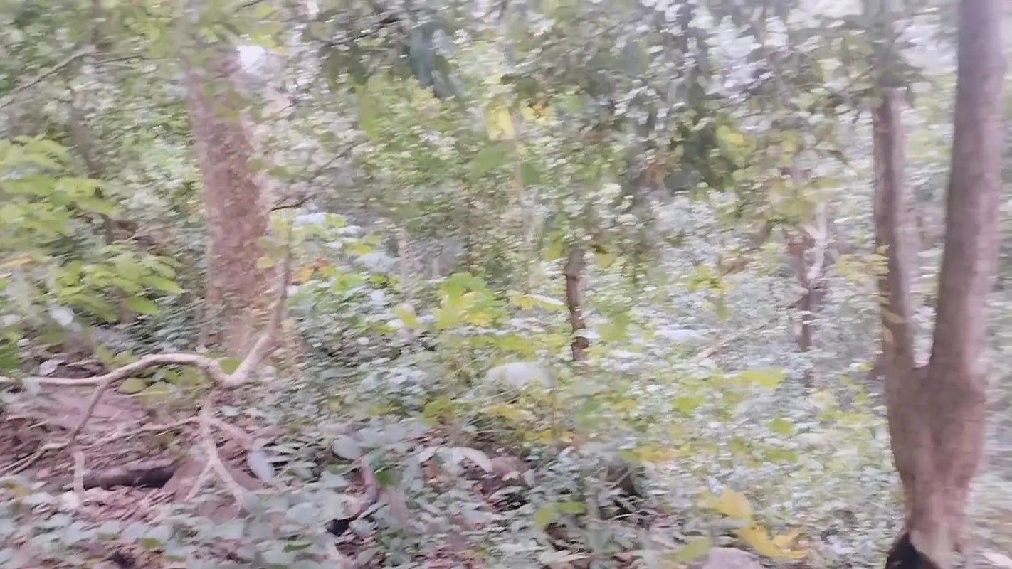 Hot sexy girl was alone in forest when a stranger was came there and ask her pussy and fucking hard and best blowjob with audio