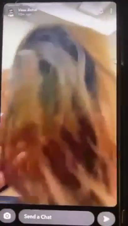 Beautiful Horny Gf Sucking