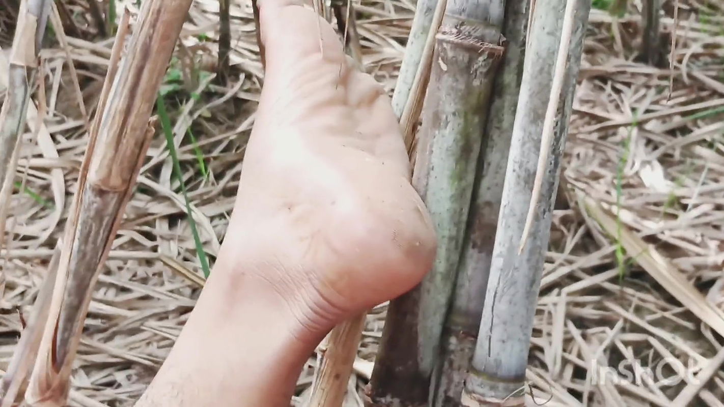 Today I put full land in my gf’s ass Desi Village Porn Video