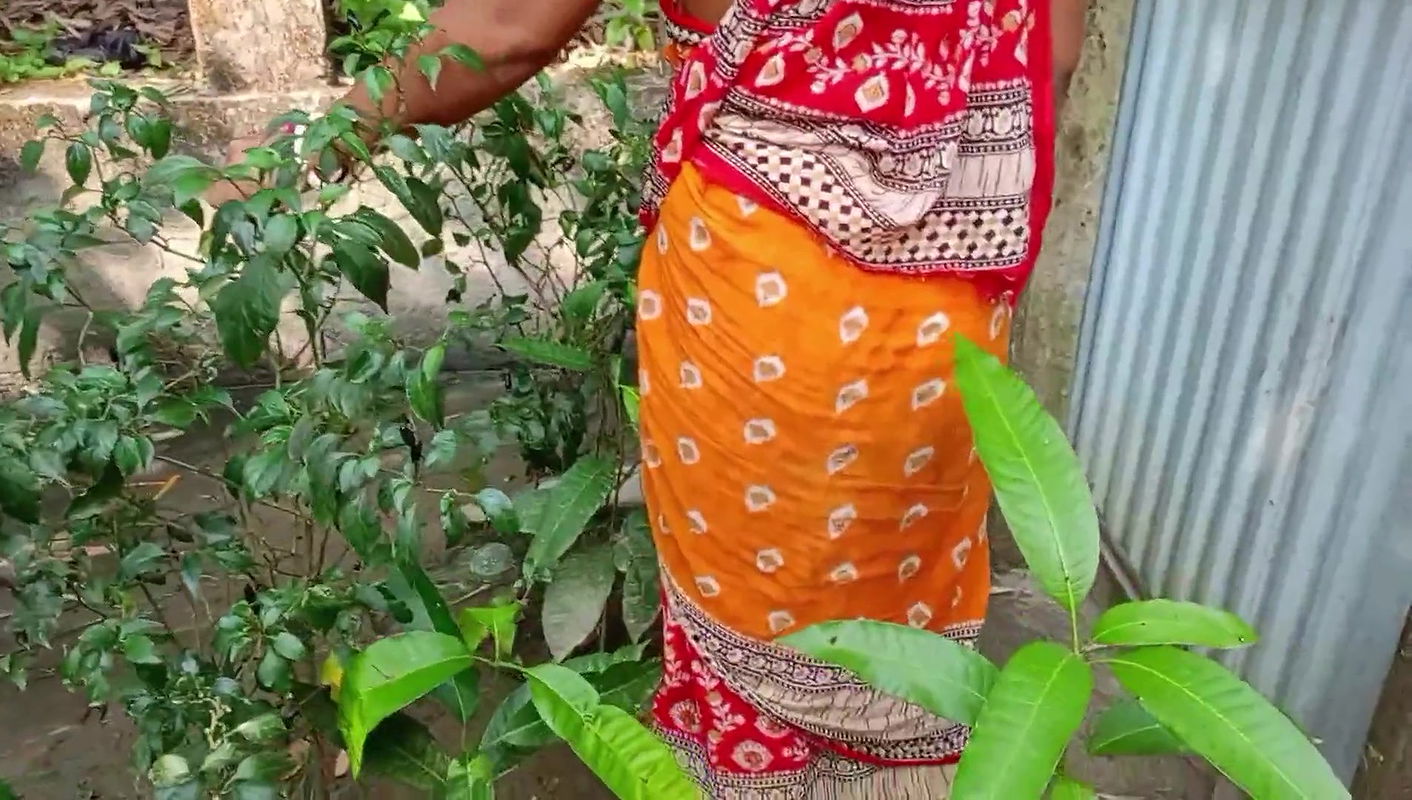 Outdoor my bhabhi and me clear Bengali video
