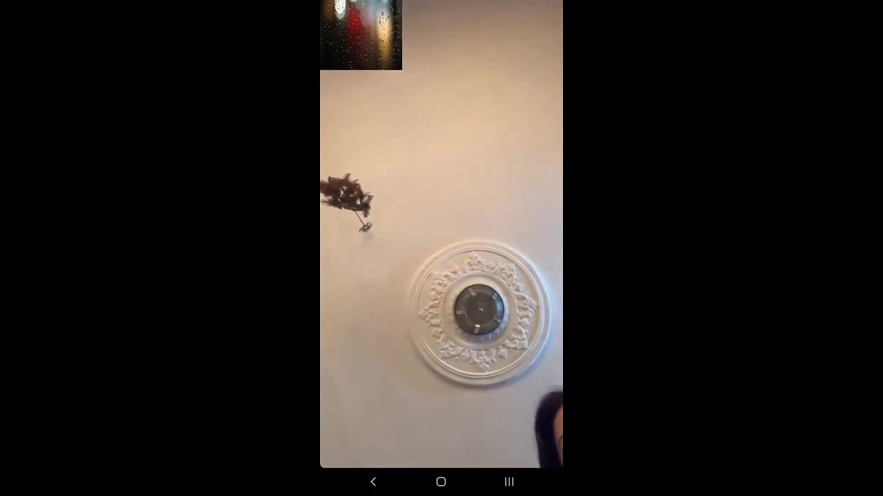 Beautiful Sexy Mal Showing Boobs