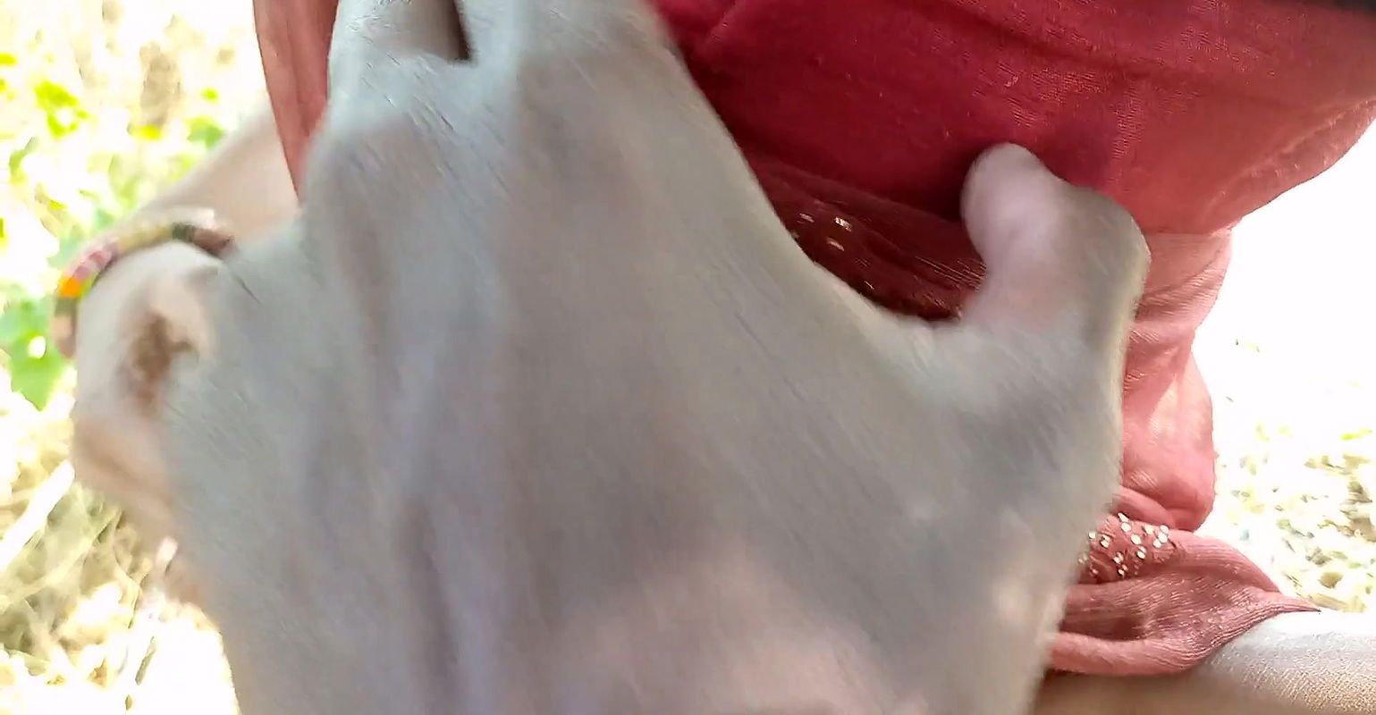 Bhabhi ji ko khet pe le jakar chudai ki