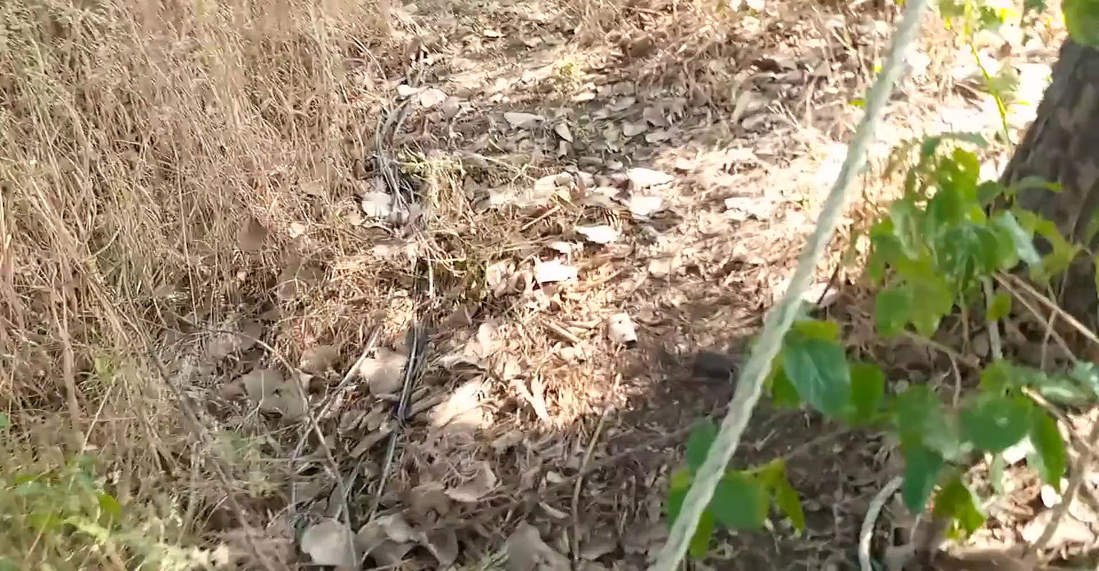 Bhabhi ji ko khet pe le jakar chudai ki