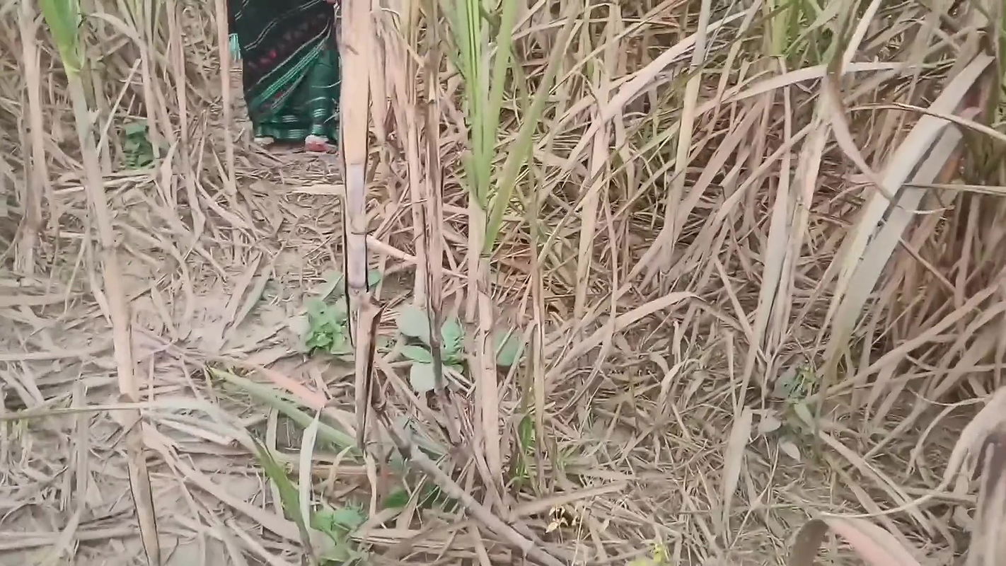 Indian Desi Village outdoor New Indian outdoor public porn with pissing