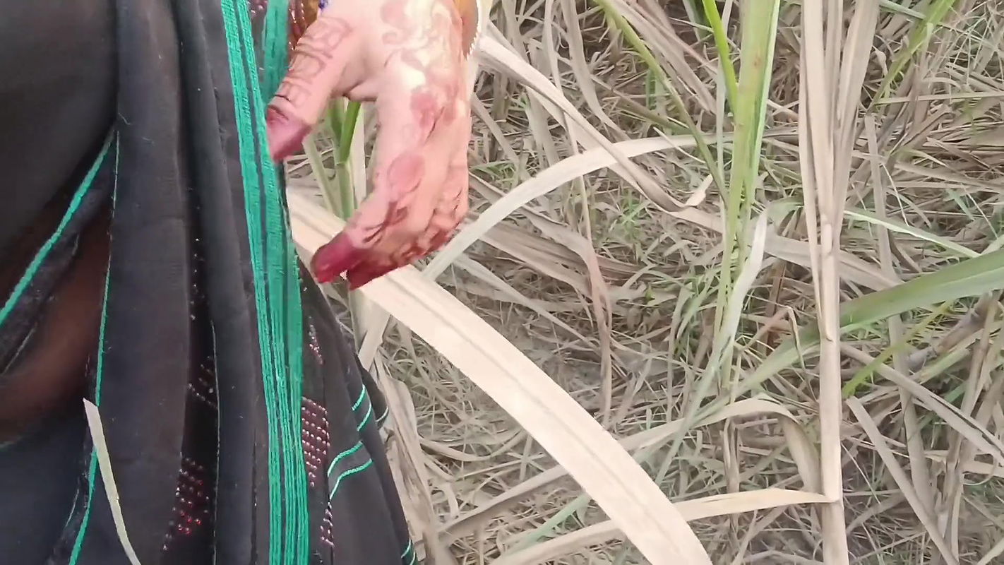 Indian Desi Village outdoor New Indian outdoor public porn with pissing