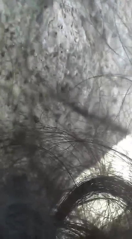 Outdoor blowjob and Fucking