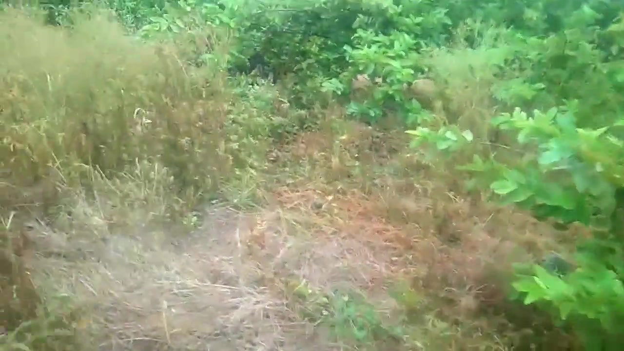 Aunty with Boy Motor Pumb Set Room in Sex