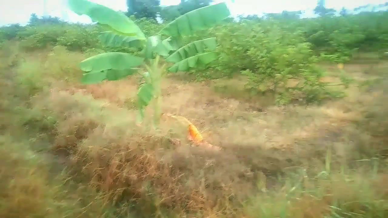 Aunty with Boy Motor Pumb Set Room in Sex