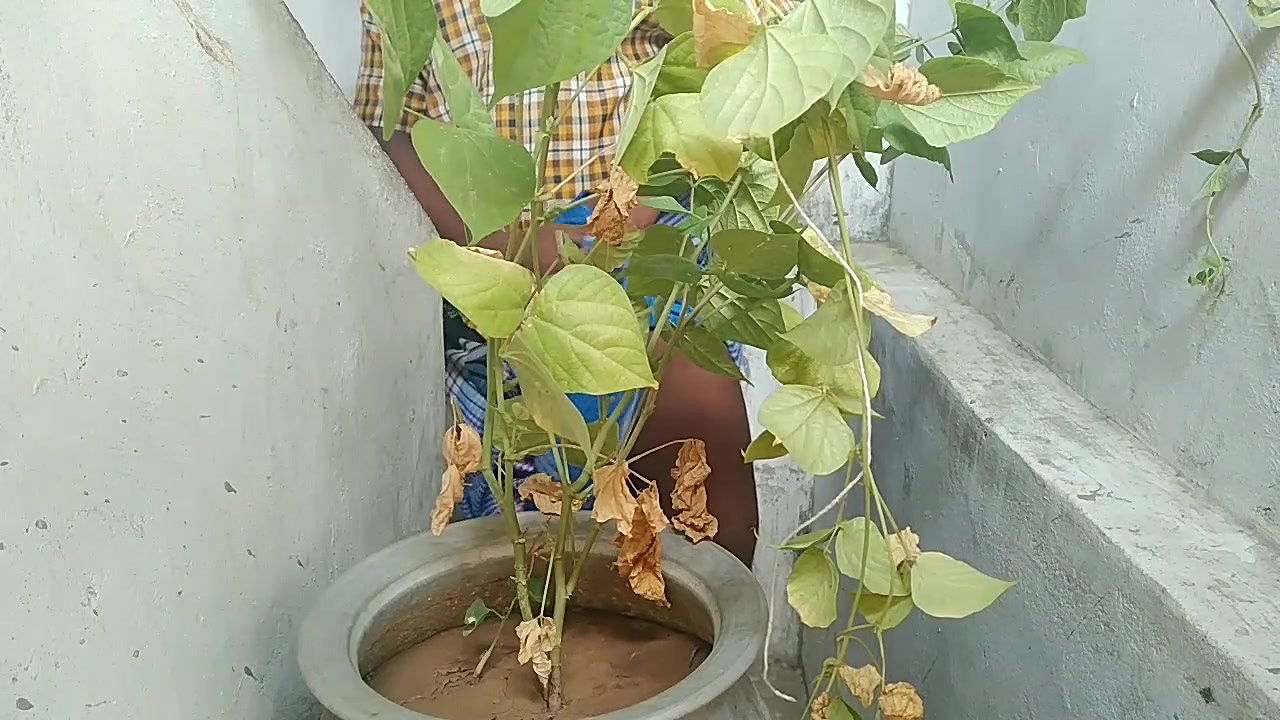 Indian House Woife Sex with House Woner