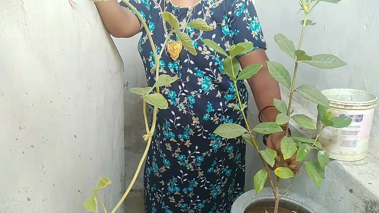 Indian Tamil Village Beauty Aunty Sex