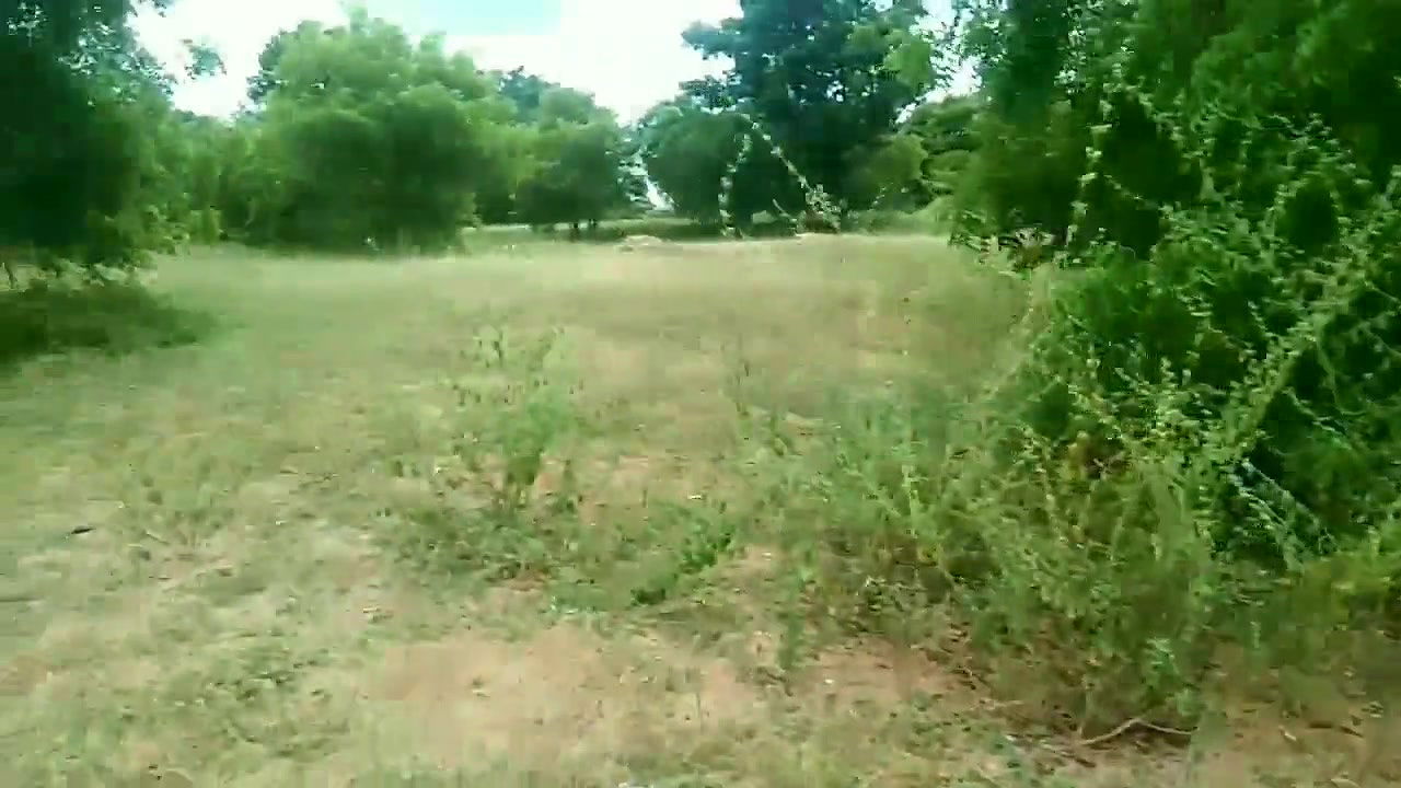 Indian Village Farming Couple Having Sex