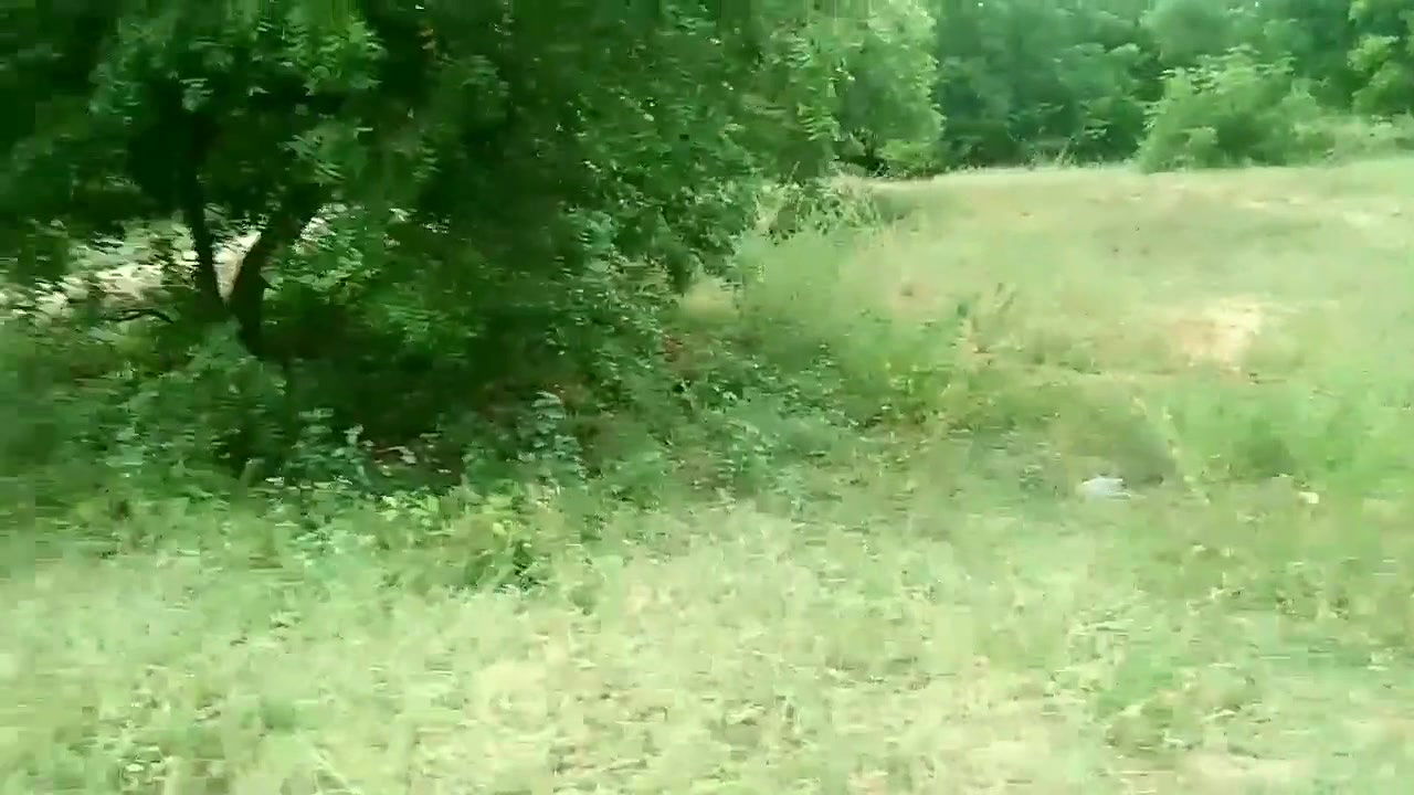 Indian Village Farming Couple Having Sex