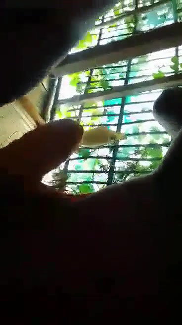 Assame Guwahati Girl Riding On bf