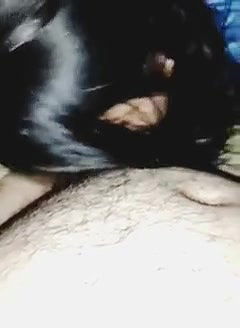 Wife suckint and sex with husband