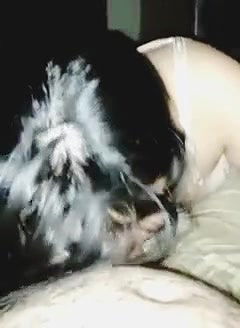 Wife suckint and sex with husband