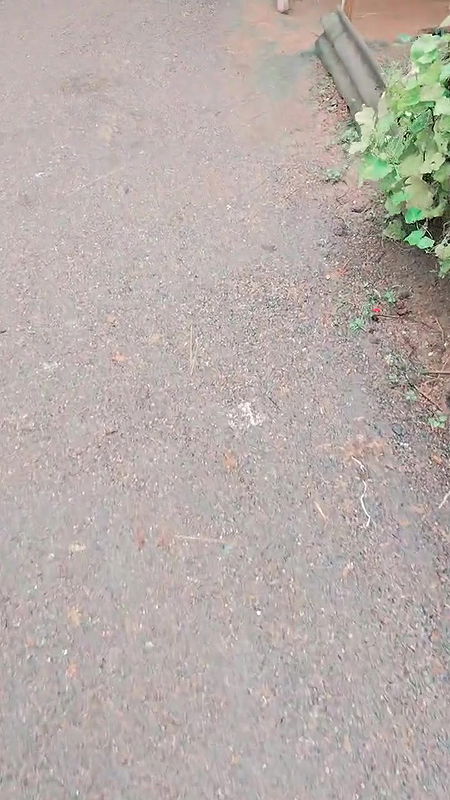 Let’s Talk to the Girl Who Came Home, We Enjoyed Sex