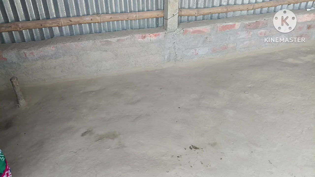 Desi housewife ki chudai ki bahut maja aaya