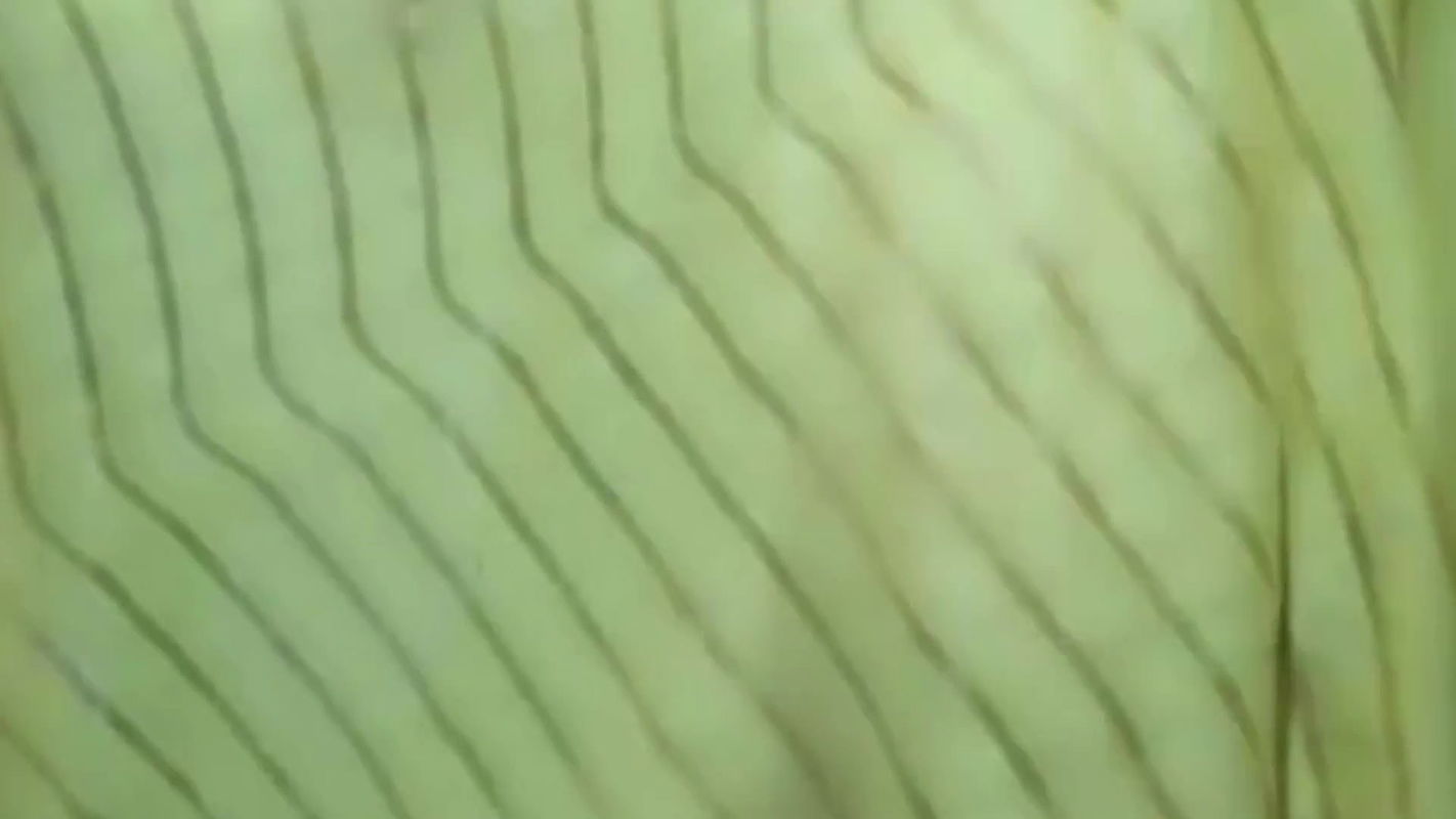 Indian House Wife Full Nude Big Tights Shaved Pussy Bigboobs Pressing Novel Showing Sucking Dirty Moaning