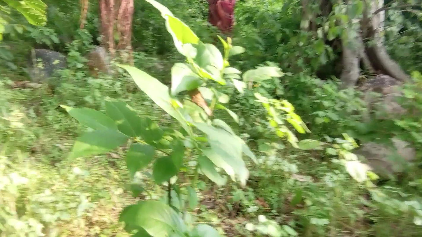 My Wife Was Going to the Forest to Take the Bathroom, I Followed Her and Had Fun with Her