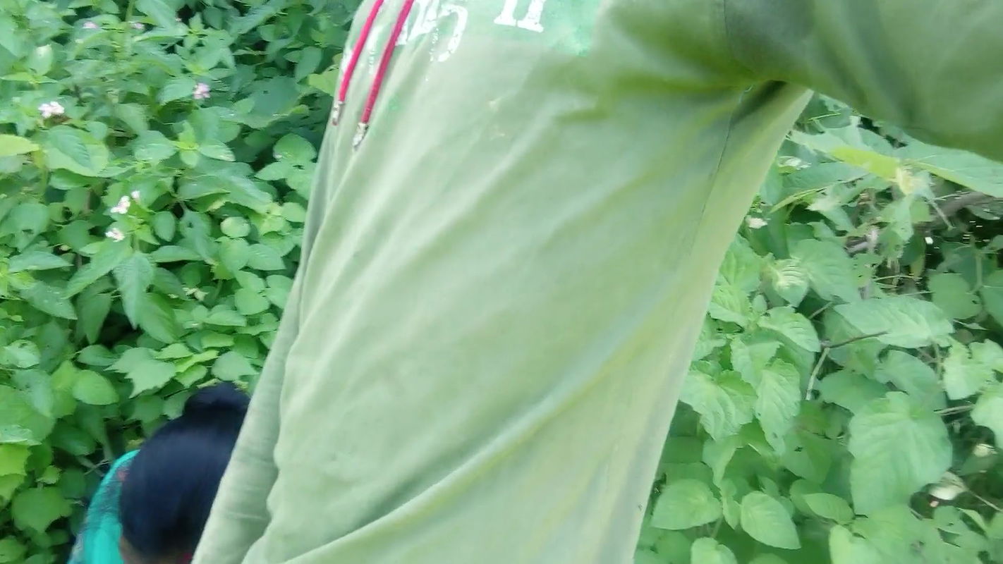 Today Afternoon, Bhabhi in Law Called Devr in Law to the Jungle and Fucked Her Slowly Slowly.