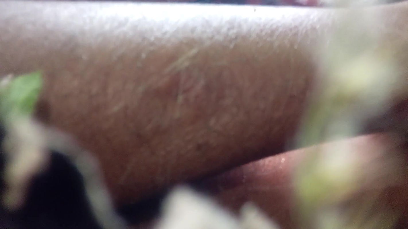 Video and Hot Bhabhi