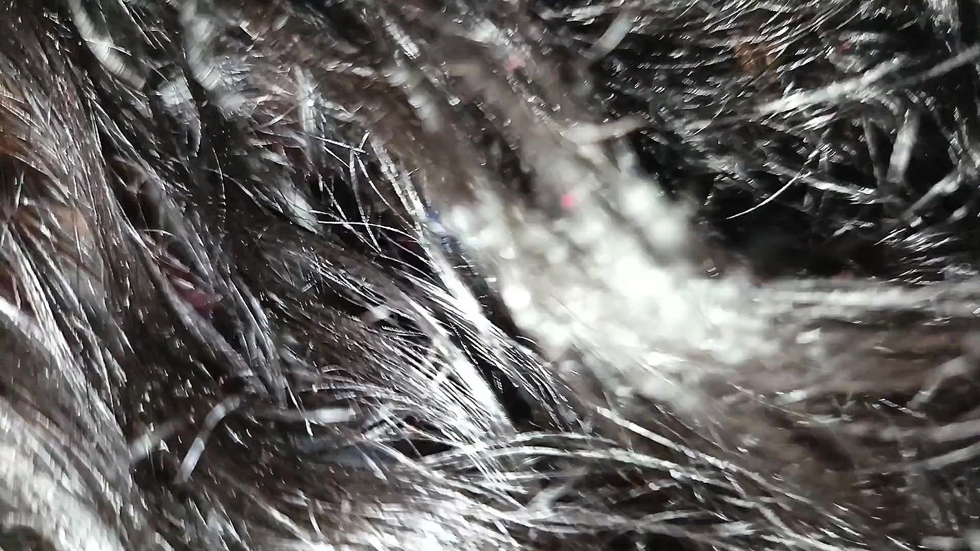 Fucked the Step Mother