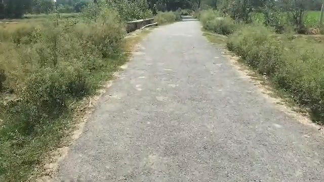 Sex with My Lovely Wife