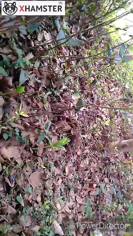 bengali boudi Husband is abroad so I got rid