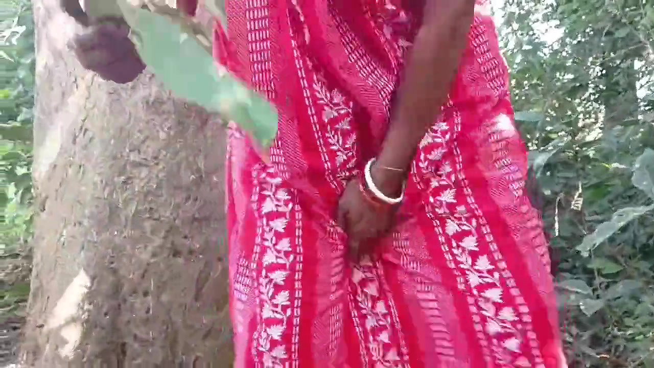 Bhabhi ko jungle and chudai nomita Bengali audio
