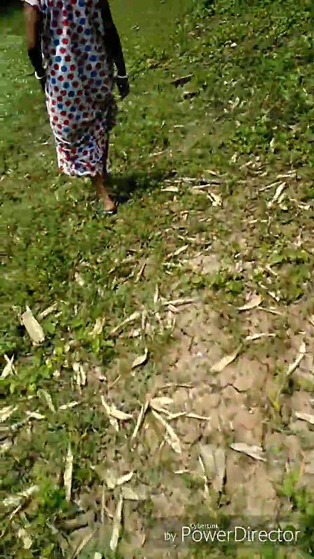 I sat on a tree branch and peed