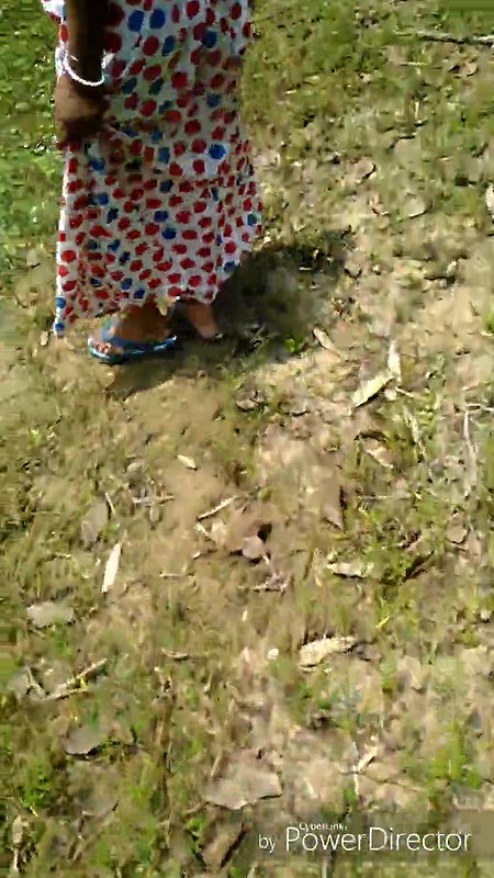 I sat on a tree branch and peed