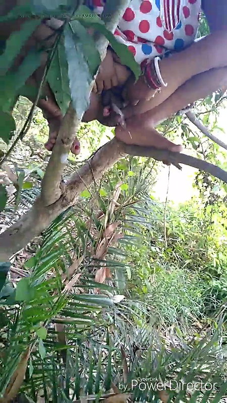 I sat on a tree branch and peed