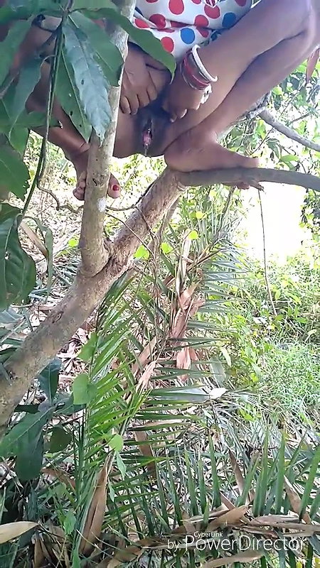 I sat on a tree branch and peed