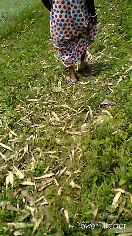 I sat on a tree branch and peed