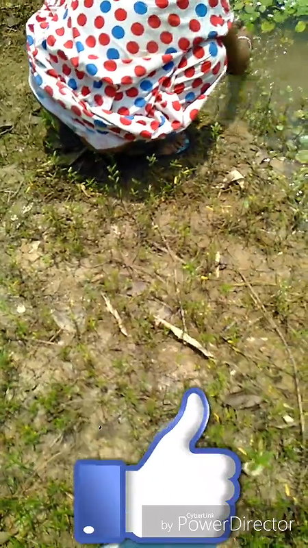 I sat on a tree branch and peed